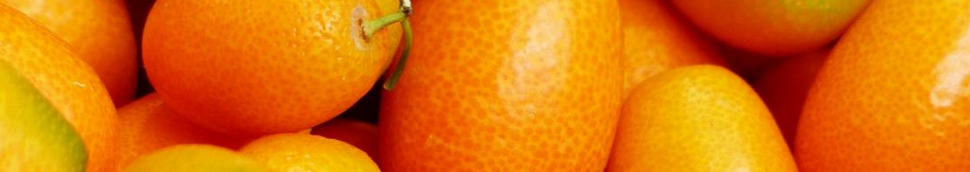 Agrumes : kumquat